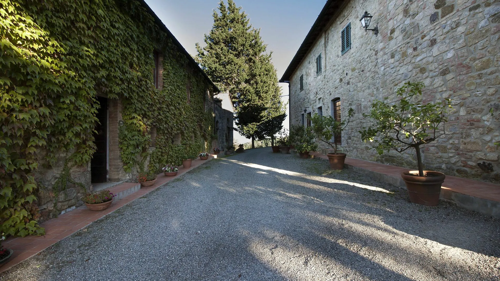 B&B La Torre - Fattoria Di Larniano San Gimignano Italy